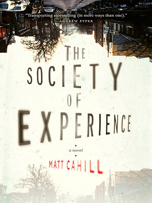 cover image of The Society of Experience